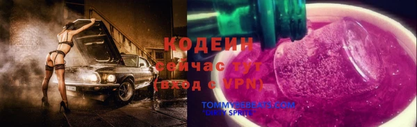 экстази Ельня