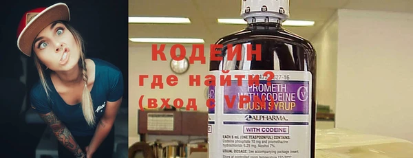СК Елизово
