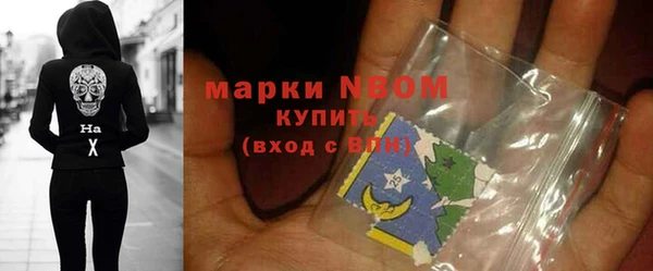 стаф Елабуга