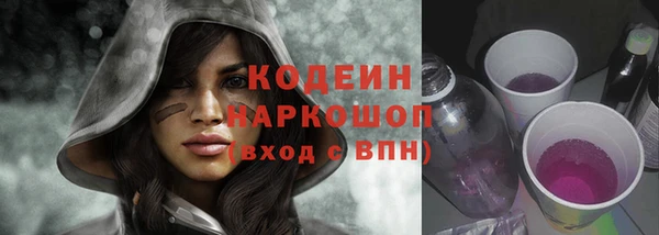 СК Елизово