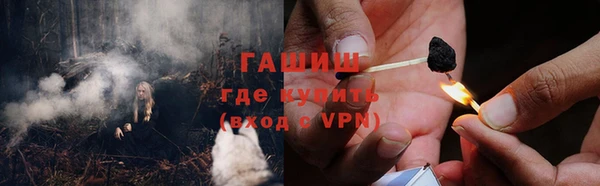 СК Елизово