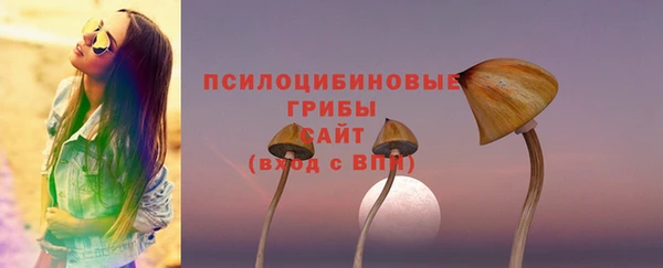 стаф Елабуга