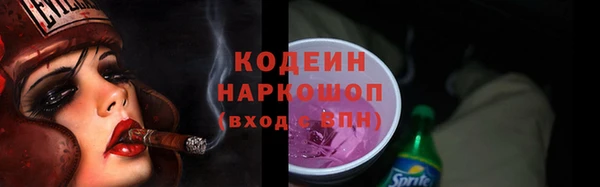 СК Елизово