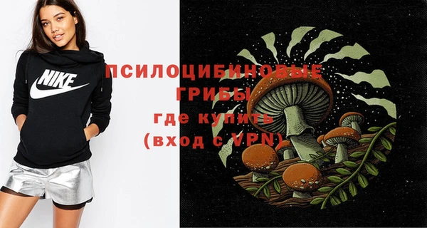 экстази Ельня