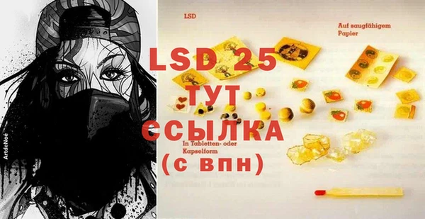 стаф Елабуга