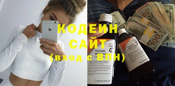 СК Елизово