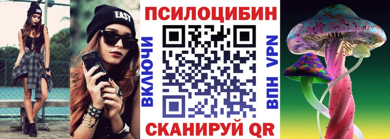 Купить  Бавлы  Галлюциногенные грибы мухоморы 